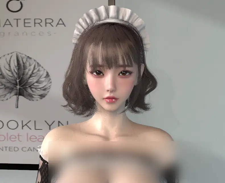 ShaoB.女仆阿雅.1-Fx718社区
